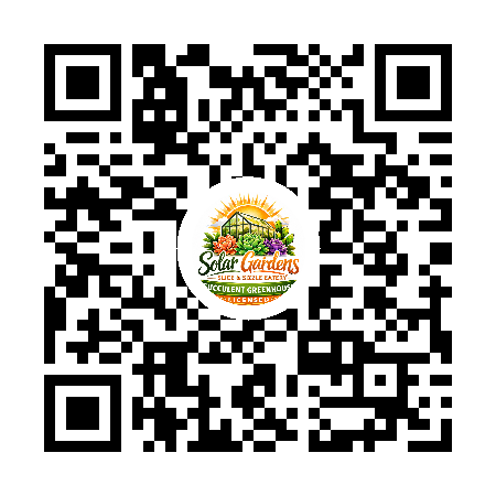 QR code for Table 12